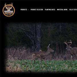 Whitetail Institute