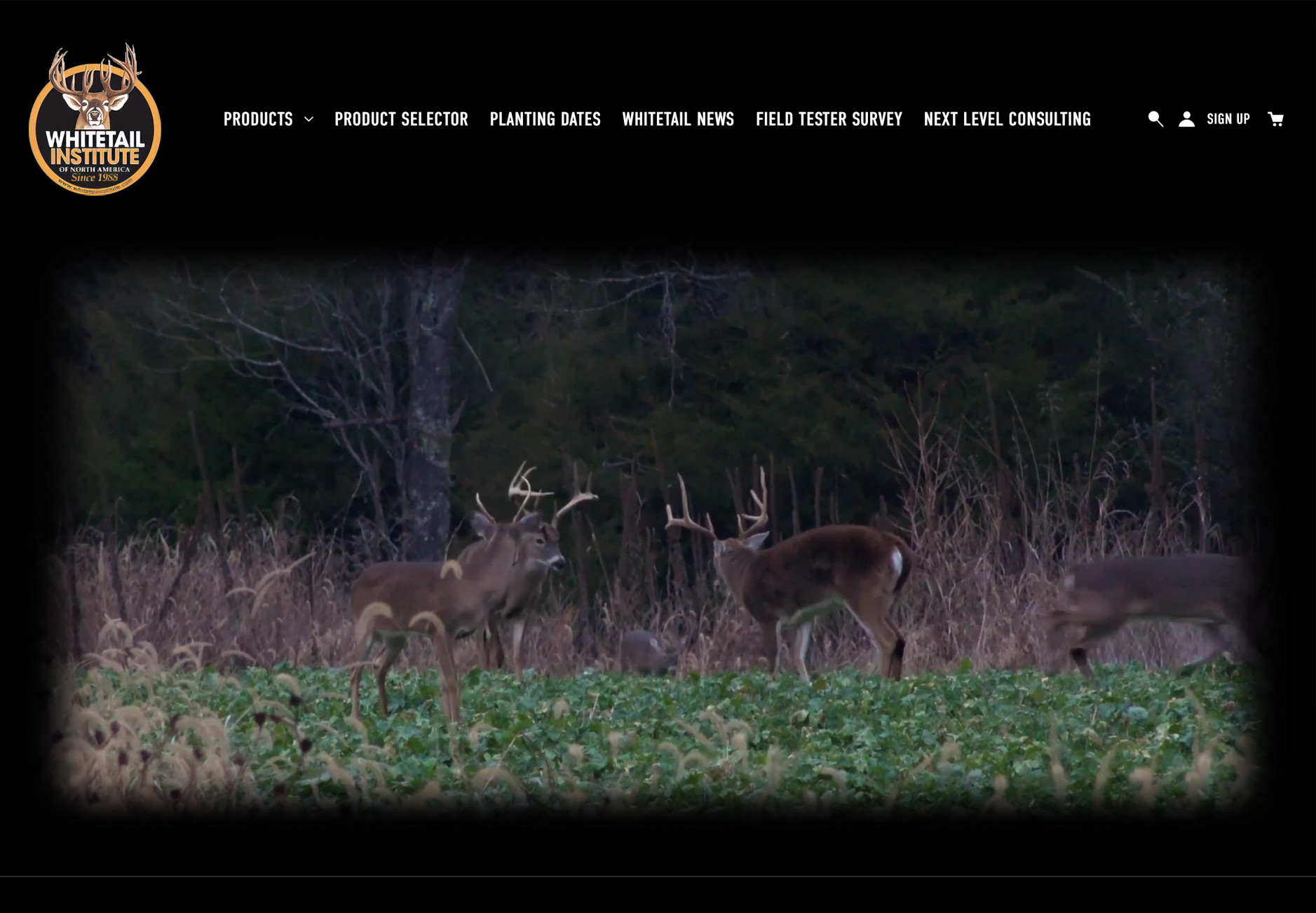 Whitetail Institute